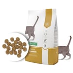 Nature's Nature's Protection 貓糧 老貓糧 加護系列 活力老貓配方 2kg 白黃 2kg  正面圖