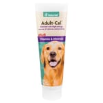 NaturVet天然寶 NaturVet天然寶 保健品 營養嗜喱 成犬配方 5oz 5oz  正面圖