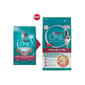 Purina Purina ONE 成貓糧 泌尿系統護理配方 5.6kg 或 6kg  正面圖