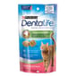 Dentalife Dentalife 貓貓潔齒粒 三文魚 1.8oz 8oz  正面圖