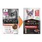PURINA PURINA PROPLAN 冠能 貓濕糧 成貓美毛亮麗配方 醬汁三文魚 85g 85g  正面圖