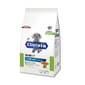 日本Petline 日本Petline jP Style Clinista 狗狗消化腸胃健康維持乾糧 雞肉味 2.4kg 4kg  正面圖