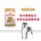 Royal Canin Royal Canin 狗糧 法國皇家狗糧 純種系列 柴犬成犬專屬配方 柴犬 純種犬配方 4kg 4kg  正面圖