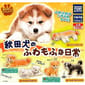 日本直送 日本直送 狗公仔擺設 秋田犬的蓬鬆日常 一套五隻 - 清貨優惠   正面圖