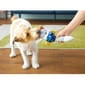 日本Bonbi 日本Bonbi ILOVEPETS Prienzoo狗狗防水玩具 鳥 一個   背面圖