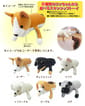 日本Bonbi 日本Bonbi ILOVEPETS Animal Mitten LoveDog 狗狗手偶玩具 啡白比高犬 一個入   背面圖