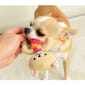 日本Bonbi 日本Bonbi ILOVEPETS Dental Animal 嚴選狗狗護齒玩具 熊熊   背面圖