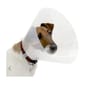 Buster Buster Clic Collar 透明頸圈 7.5cm   正面圖