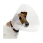 Buster Buster Clic Collar 透明頸圈 20cm   正面圖