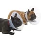 Buster Buster 短吻犬種專用頸圈 E-Collar for Brachycephalic Breeds Starter 中碼   正面圖