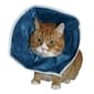 Buster Buster 即棄型頭罩 Disposable Soft Collars   正面圖