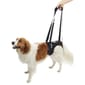 KRUUSE KRUUSE 犬用輔助步行掛帶 後腿 Rehab Lifting Harness for Hind Legs XL  犬用 正面圖