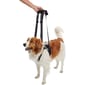 KRUUSE KRUUSE 犬用輔助步行掛帶 前腿 Rehab Lifting Harness for Front Legs M  犬用 正面圖