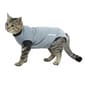Buster Buster 康復用具 成年貓 Adult cat S   正面圖