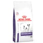 Royal Canin Royal Canin 處方糧 法國皇家狗糧 健康管理系列 絕育小型成犬健康管理配方 1.5kg 5kg  正面圖