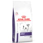 Royal Canin Royal Canin 處方糧 法國皇家狗糧 健康管理系列 小型成犬健康管理配方 4kg 4kg  正面圖