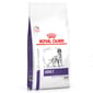 Royal Canin Royal Canin 處方糧 法國皇家狗糧 健康管理系列 中型成犬健康管理配方 4kg 4kg  正面圖