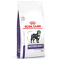 Royal Canin Royal Canin 處方糧 法國皇家狗糧 健康管理系列 絕育大型成犬健康管理配方 12kg 12kg  正面圖