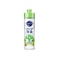 日本花王 日本花王 超濃縮除菌洗潔精 綠茶香 240ml - 清貨優惠 240ml  正面圖