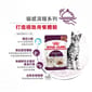 Royal Canin Royal Canin 法國皇家 貓濕糧 貓感系列 口感營養主食濕糧  FEEL 85g 85g  側面圖