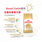 Royal Canin Royal Canin 貓糧 法國皇家貓糧 純種系列 無毛貓成貓專屬配方 2kg 2kg  特寫圖