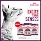 Royal Canin Royal Canin 法國皇家 貓濕糧 貓感系列 主食濕糧  SENSORY 混合裝 85g x 12 85g  背面圖