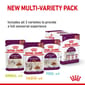 Royal Canin Royal Canin 法國皇家 貓濕糧 貓感系列 主食濕糧  SENSORY 混合裝 85g x 12 85g  正面圖