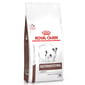 Royal Canin Royal Canin 處方糧 法國皇家狗糧 腸胃道系列 小型成犬腸胃處方 3.5kg 5kg  正面圖