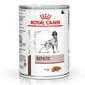 Royal Canin Royal Canin 處方糧 法國皇家 狗罐頭 腸胃道系列 成犬肝臟處方罐頭 420g 420g  正面圖