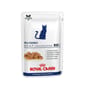 Royal Canin Royal Canin 處方糧 法國皇家 貓濕糧 健康管理系列 絕育貓體重維持健康管理袋裝濕糧  100g 100g  正面圖
