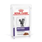 Royal Canin Royal Canin 處方糧 法國皇家 貓濕糧 健康管理系列 絕育貓體重維持健康管理袋裝濕糧  100g 100g  正面圖