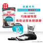 Royal Canin Royal Canin 法國皇家 貓濕糧 成貓泌尿道加護主食濕糧  85g 85g  正面圖