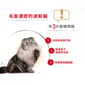 Royal Canin Royal Canin 法國皇家 貓濕糧 波斯成貓專屬主食濕糧  85g 85g  背面圖