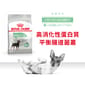 Royal Canin Royal Canin 狗糧 法國皇家狗糧 小型犬消化道腸胃加護配方 DGMI 8kg 8kg  正面圖