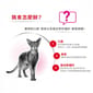Royal Canin Royal Canin 貓糧 法國皇家貓糧 超級挑咀配方 EXS 2kg 2kg  背面圖