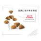 Royal Canin Royal Canin 貓糧 法國皇家貓糧 超級挑咀配方 EXS 2kg 2kg  特寫圖