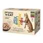 PRIMACAT PRIMACAT 貓濕糧 無穀物混味雜錦盒 85g*12 85g  正面圖