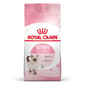 Royal Canin Royal Canin 貓糧 法國皇家貓糧 Kitten 健康營養系列 FHN 幼貓營養配方 K36 10kg 10kg  正面圖