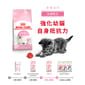 Royal Canin Royal Canin 貓糧 法國皇家貓糧 Kitten 健康營養系列 FHN 幼貓營養配方 K36 10kg 10kg  正面圖