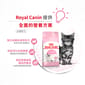 Royal Canin Royal Canin 貓糧 法國皇家貓糧 Kitten 健康營養系列 FHN 幼貓營養配方 K36 10kg 10kg  背面圖