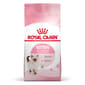 Royal Canin Royal Canin 貓糧 法國皇家貓糧 Kitten 健康營養系列 FHN 幼貓營養配方 K36 4kg 4kg  正面圖