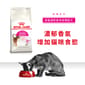 Royal Canin Royal Canin 貓糧 法國皇家貓糧 成貓濃郁香味挑嘴配方 EXA 2kg 2kg  正面圖