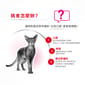 Royal Canin Royal Canin 貓糧 法國皇家貓糧 成貓濃郁香味挑嘴配方 EXA 2kg 2kg  背面圖