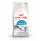 Royal Canin Royal Canin 貓糧 法國皇家貓糧健康營養系列 室內成貓營養配方 IN27 10kg 10kg  正面圖