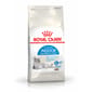 Royal Canin Royal Canin 貓糧 法國皇家貓糧 健康營養系列 室內成貓食量控制營養配方 INAC29 4kg 4kg  正面圖