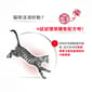 Royal Canin Royal Canin 貓糧 法國皇家貓糧 成貓全效健康營養配方 FIT32 15kg 15kg  背面圖
