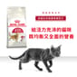 Royal Canin Royal Canin 貓糧 法國皇家貓糧 成貓全效健康營養配方 FIT32 4kg 4kg  正面圖