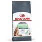 Royal Canin Royal Canin 貓糧 法國皇家貓糧 加護系列 成貓消化道加護配方 DGC38 4kg 4kg  正面圖