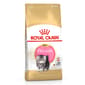 Royal Canin Royal Canin 貓糧 法國皇家貓糧 純種系列 波斯幼貓專屬配方 KPS32 10kg 10kg  正面圖