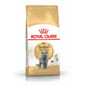 Royal Canin Royal Canin 貓糧 法國皇家貓糧 純種系列 英國短毛成貓專屬配方 BSH 4kg 4kg  正面圖